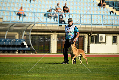 Othar des pas des betes