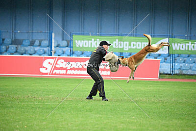 Othar des pas des bêtes