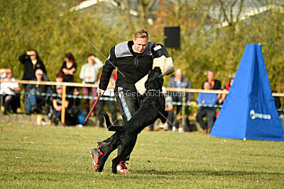 Othello vom Lindelbrunn