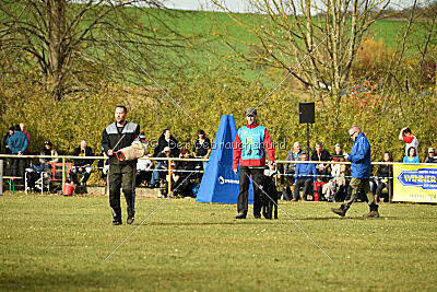 Othello vom Lindelbrunn