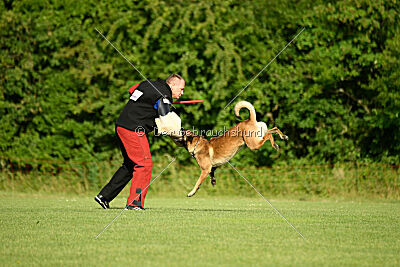 Ouzo von den brennenden Herzen