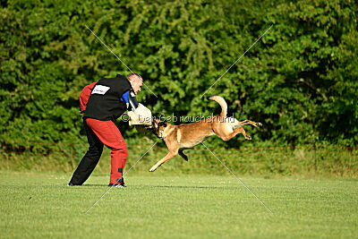 Ouzo von den brennenden Herzen