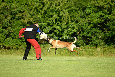 Ouzo von den brennenden Herzen