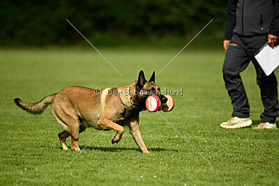 Ouzo von den brennenden Herzen