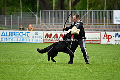 Pablo von der Sigisliebe