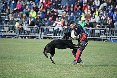 Panther z Berounské basty