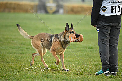 Parendo Vinces Aim High