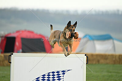 Parendo Vinces Aim High