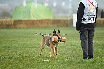 Parendo Vinces Aim High