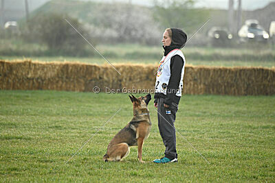 Parendo Vinces Aim High