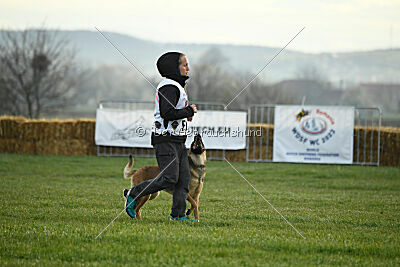 Parendo Vinces Aim High