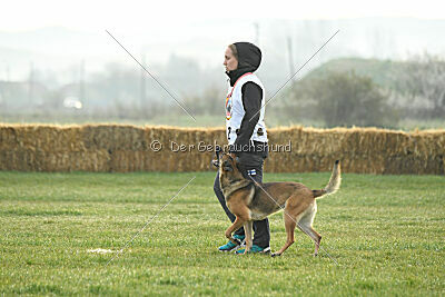 Parendo Vinces Aim High