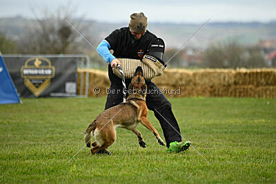 Parendo Vinces Aim High