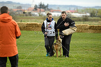 Parendo Vinces Aim High