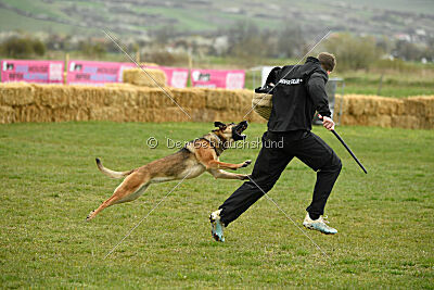 Parendo Vinces Aim High