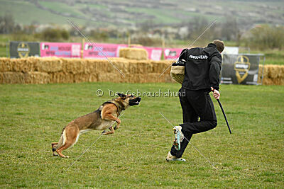 Parendo Vinces Aim High