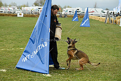 Parendo Vinces Aim High