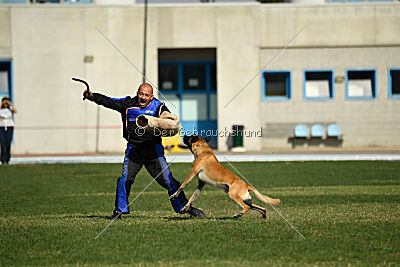 Parendo Vinces Alexander