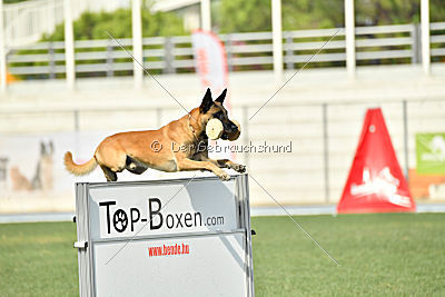 Parendo Vinces Alexander