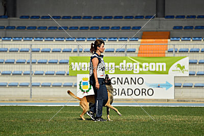 Parendo Vinces Alexander
