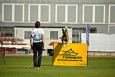 Parendo Vinces Always Dare