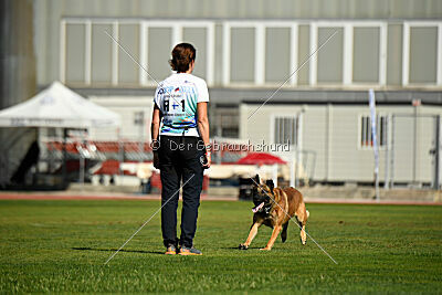 Parendo Vinces Always Dare