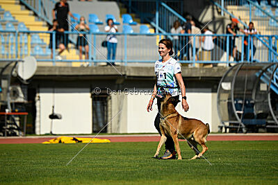 Parendo Vinces Always Dare