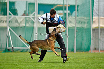 Parendo Vinces Captain Koons