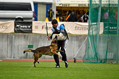 Parendo Vinces Captain Koons