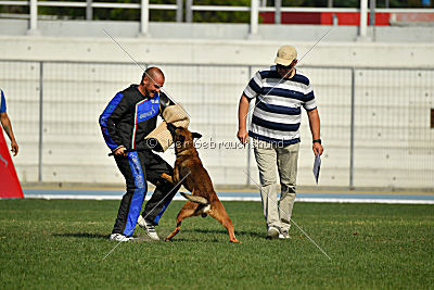 Parendo Vinces Cordell Walker