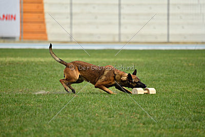 Parendo Vinces Cordell Walker