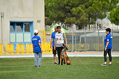 Parendo Vinces Cordell Walker