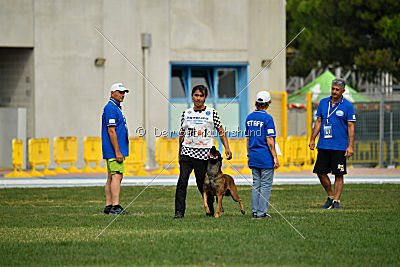Parendo Vinces Cordell Walker