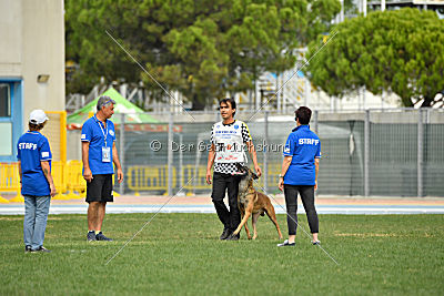 Parendo Vinces Cordell Walker