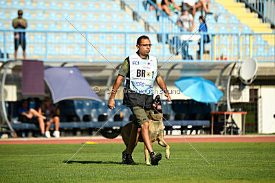 Parendo Vinces Fortunae Filius