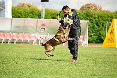 Paris du Banc des Hermelles