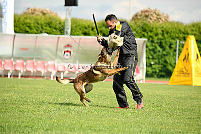 Paris du Banc des Hermelles