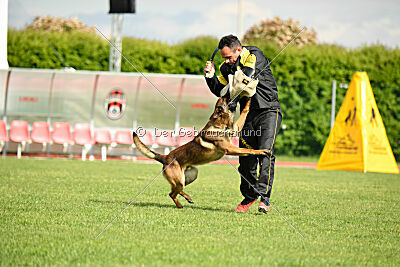 Paris du Banc des Hermelles