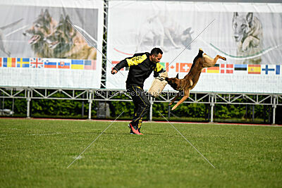 Paris du Banc des Hermelles