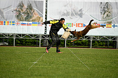 Paris du Banc des Hermelles