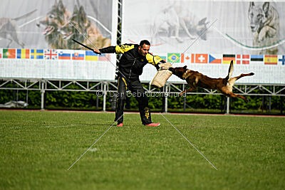 Paris du Banc des Hermelles