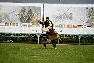 Paris du Banc des Hermelles