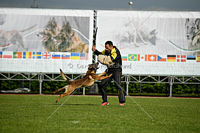 Paris du Banc des Hermelles