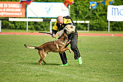 Paris du Banc des Hermelles