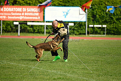 Paris du Banc des Hermelles