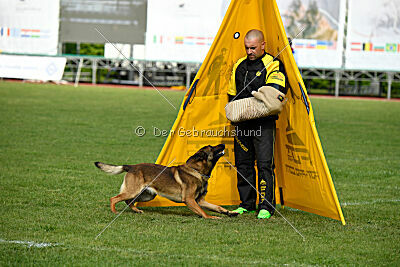 Paris du Banc des Hermelles