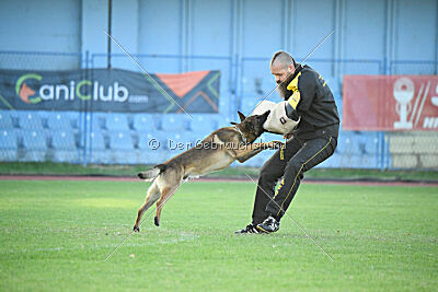 Paris du Banc des Hermelles