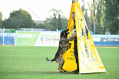 Paris du Banc des Hermelles