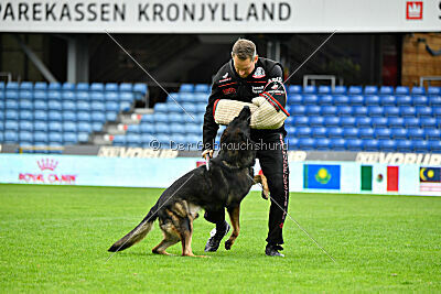 Pascha vom Stadtfeld