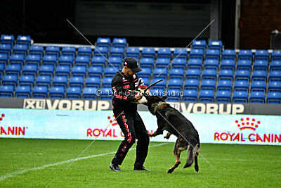 Pascha vom Stadtfeld